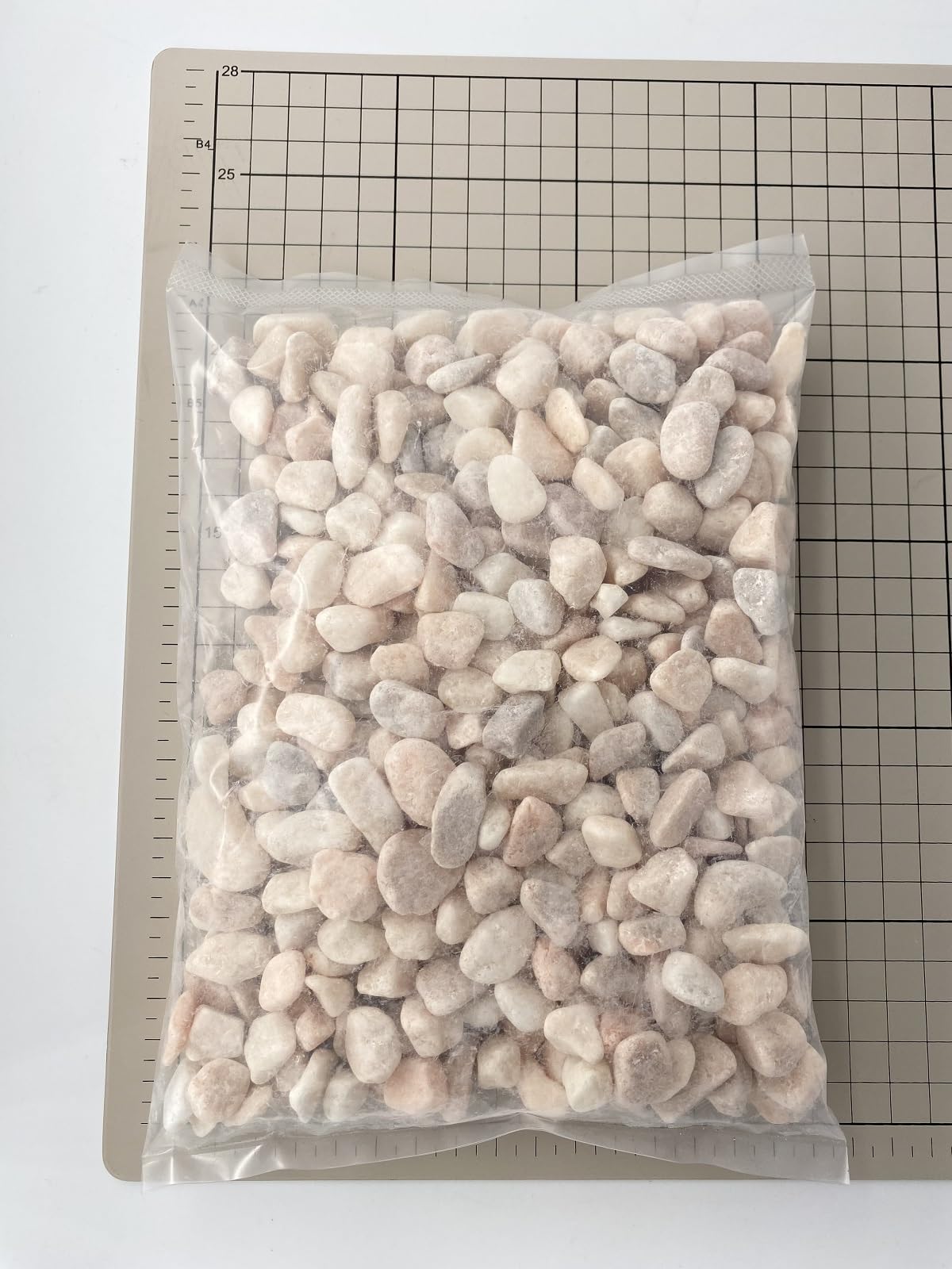 貝殻 砂・ソイル 1kg 4972547025166_s.jpg