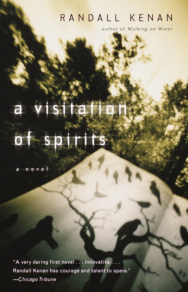 Cover of A Visitation of Spirits
