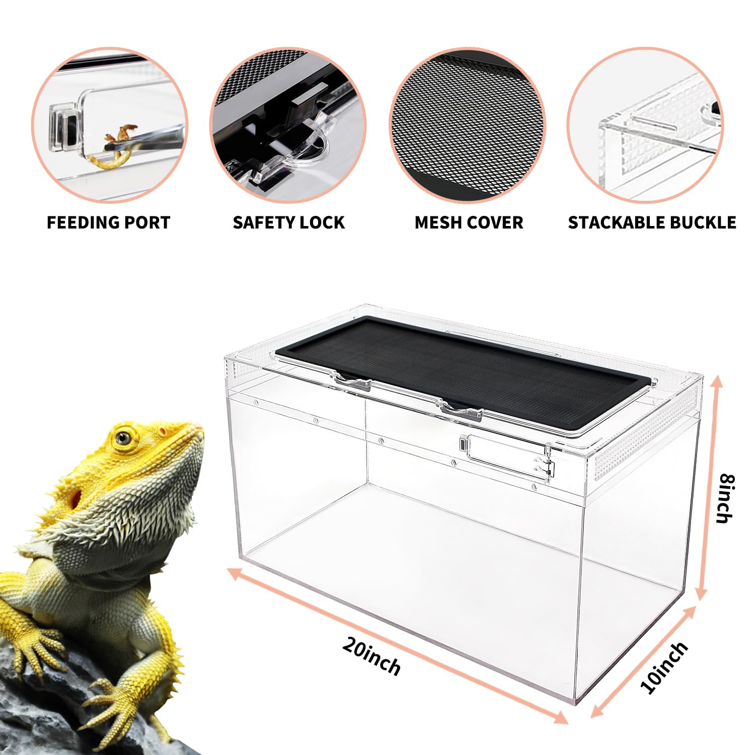 Set de Terrario Reptile PC, Tanque Reptil 50 x 25 x 20 cm con ventilación de Pantalla de Puerta corredera Superior para Reptiles, Anfibios e invertebrados