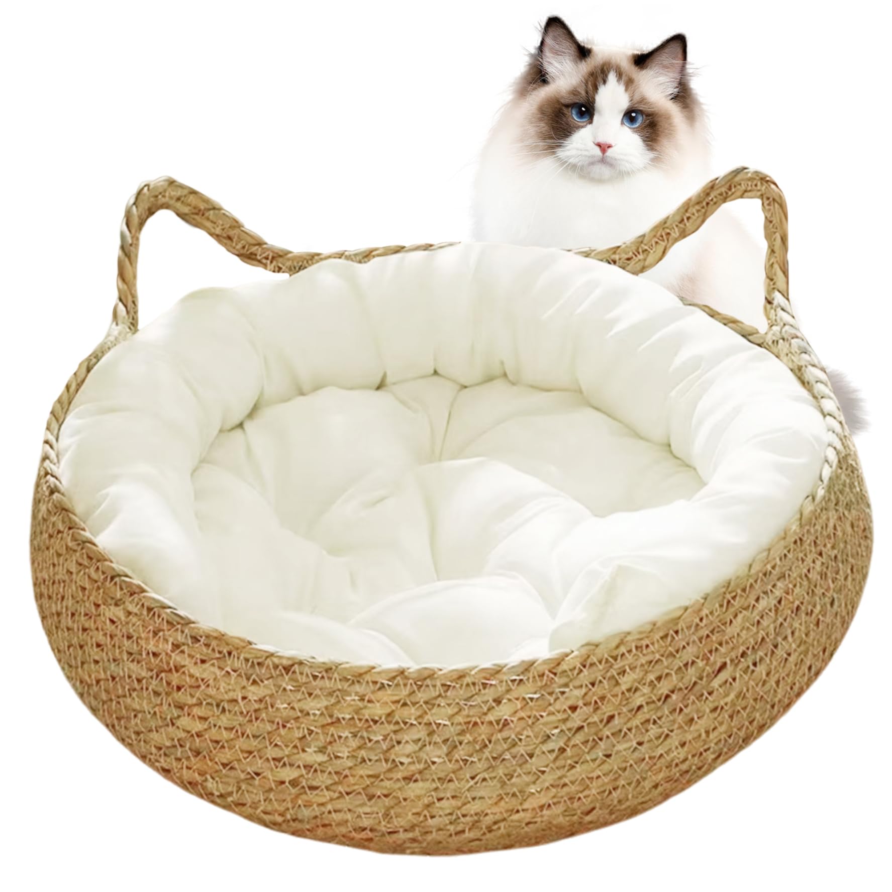 Camas de gato interiores Cama de gatito 38x12cm cama de donas de gato 2-en-1 Cierras de gato tejidas cama con colchón suave a prueba de scratch lecho acogedor canasta de gato de mimbre redondo