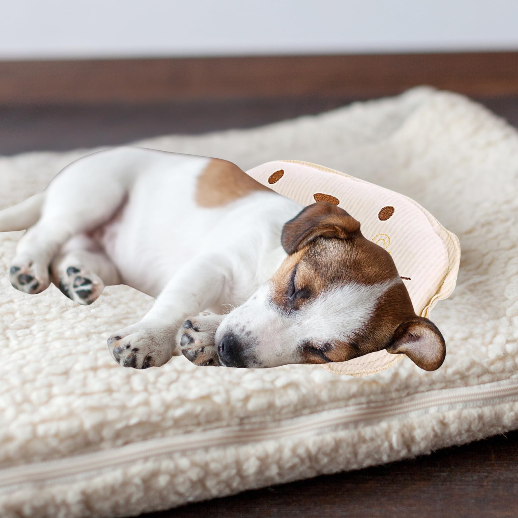 Piccolo cuscino per gatti e cani, giocattolo – morbido cuscino per animali domestici – morbido, soffice e confortevole, ideale per trasportino, divano, cesto e riposo quotidiano interno