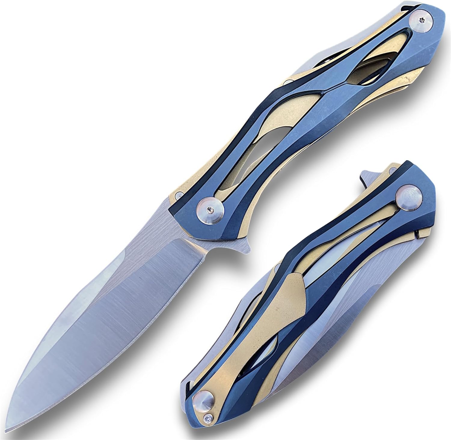 TACTICAL GEARZ Premium Stainless Steel Folding Knife, Stainless Steel Handle, D2 Steel Blade (Ronus GB)