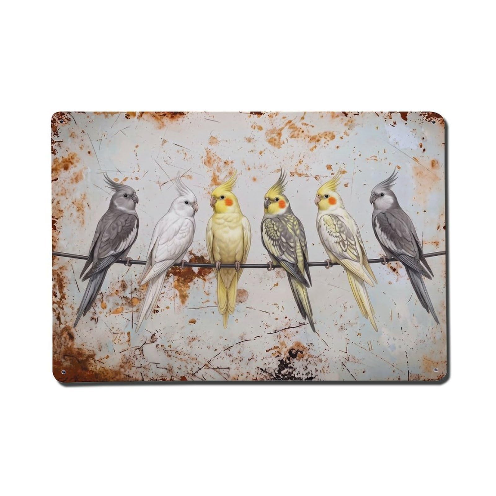 Vintage Retro Birds Cockatiel Metal Tin Sign