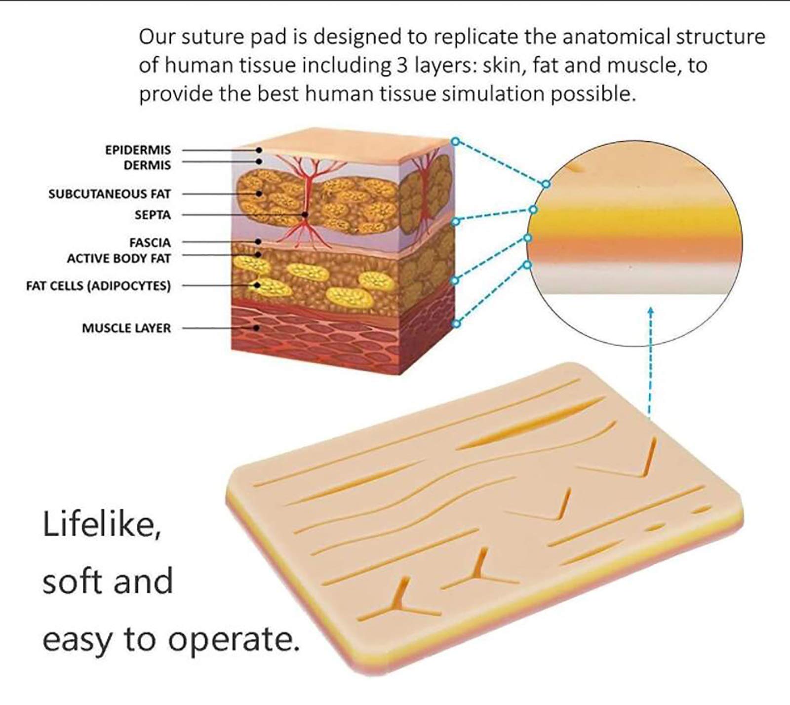 Kit per la Pratica della sutura, Kit di sutura all-Inclusive per Lo Sviluppo e Il perfezionamento di Tecniche di sutura per creazioni mediche