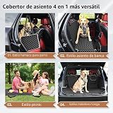 Ver la foto 7