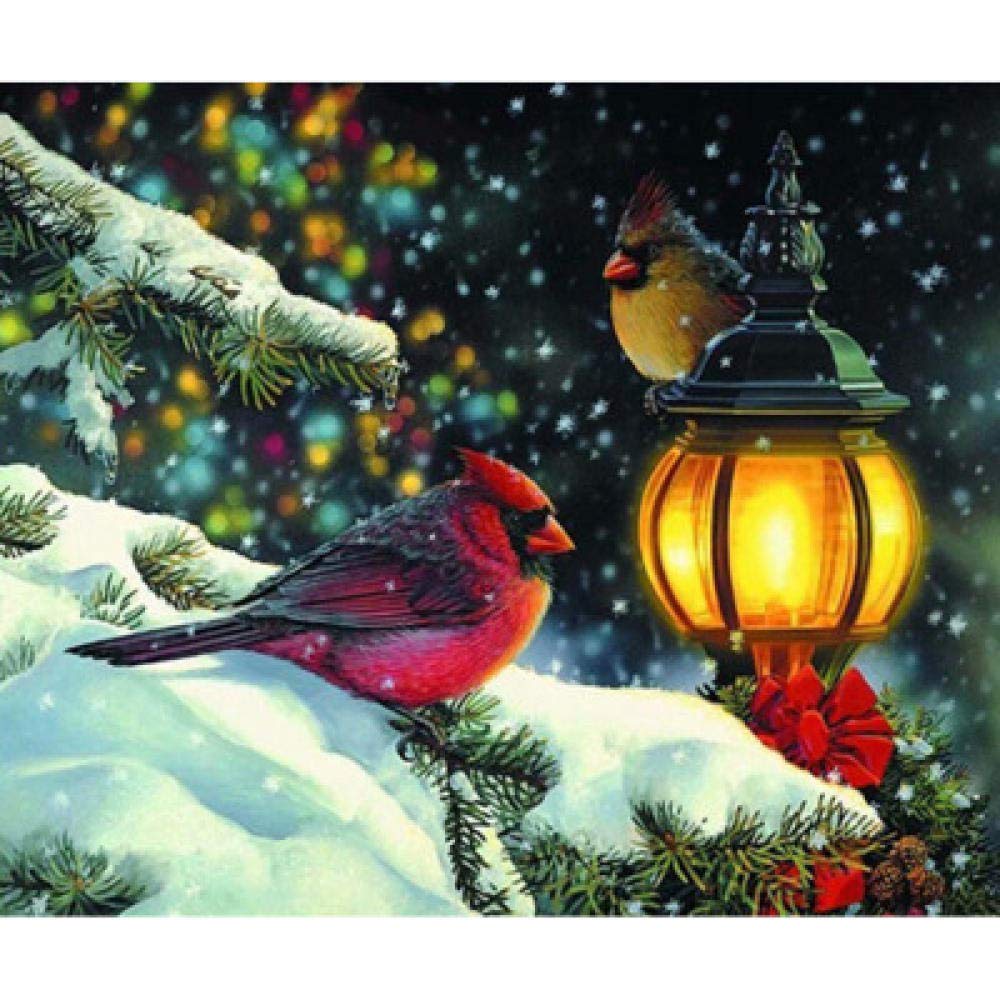Peinture Diamant 5D Oiseau en Hiver Mosaïque Point de Croix Rond 50x60cm