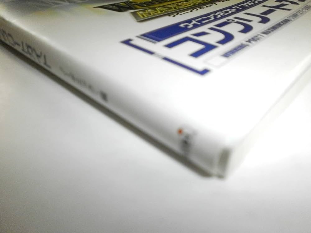 バーニングマン　コンプリートガイドブック BURNINGMAN COMPLETE GUIDEBOOK 【バーニングマン・コンプリート