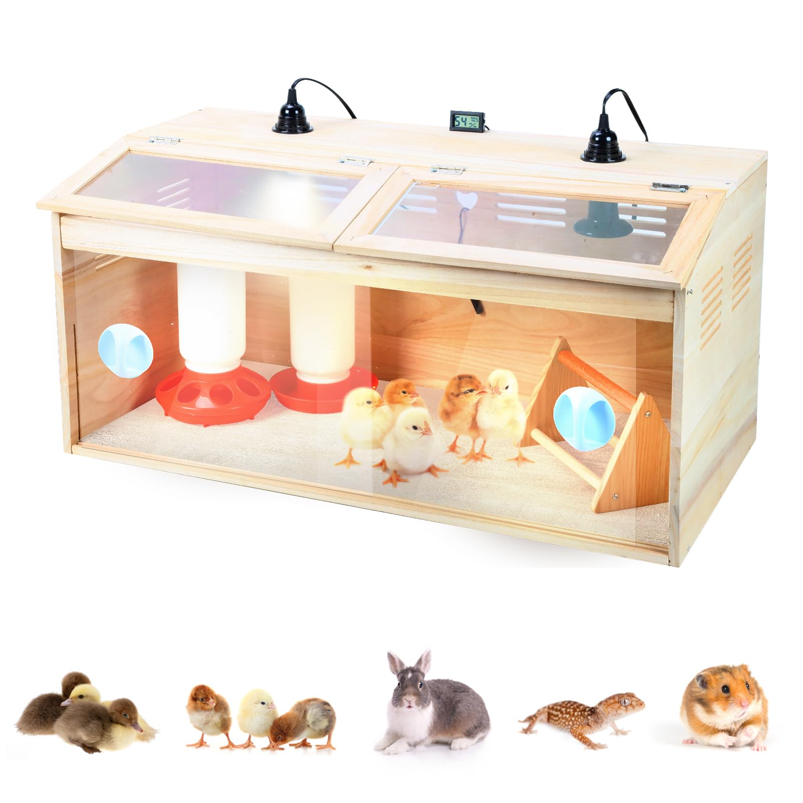 Caja grande de madera para pollitos, kit de iniciación de pollitos, criadora de aves de corral con termómetro y dos lámparas de calor