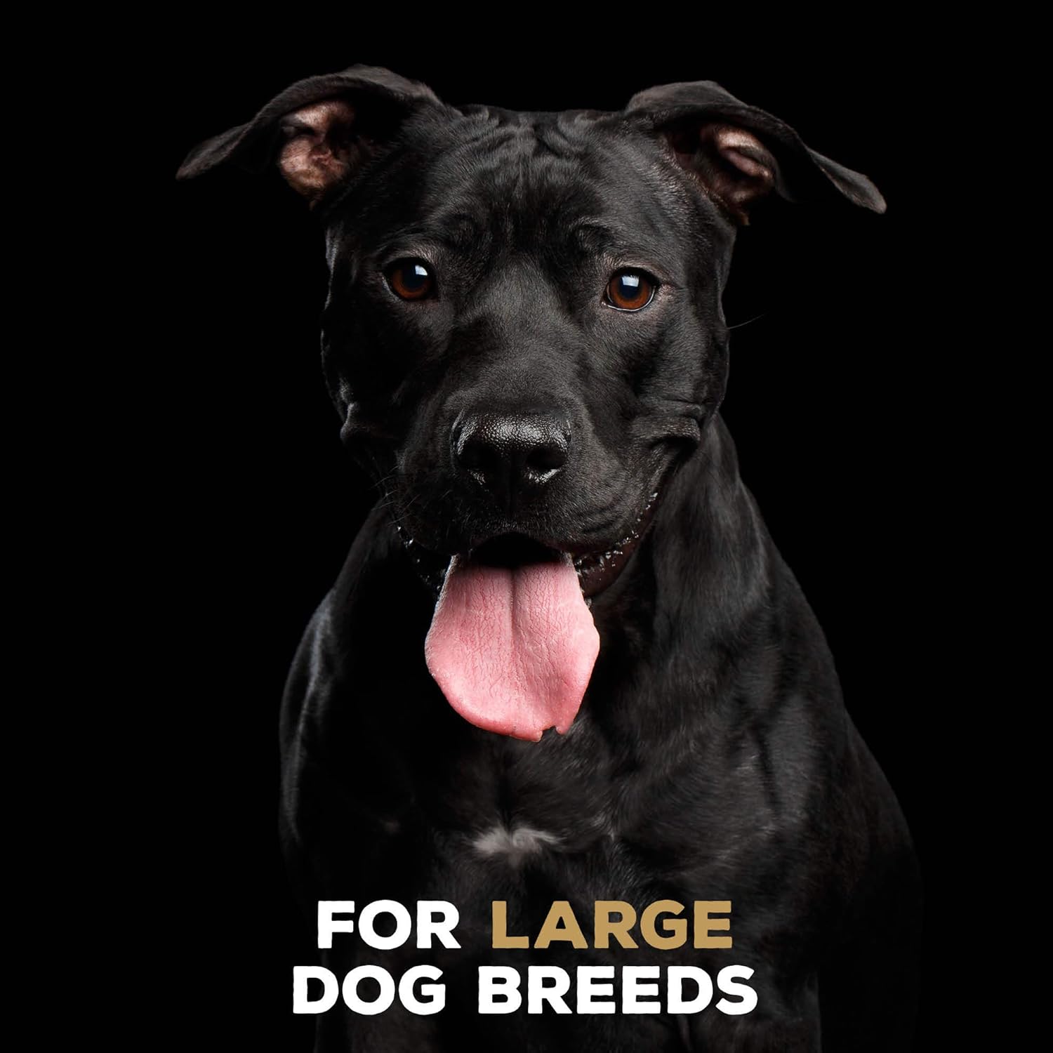 71N8s7UceIL. AC SL1500