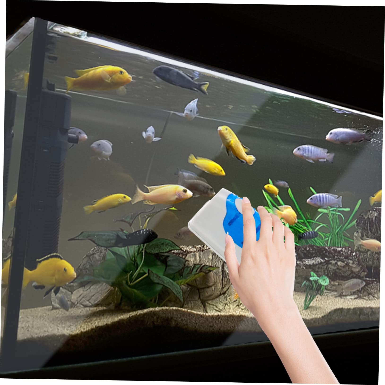 Mipcase 2stücke Magnetische Aquarium-reinigungsbürste Effektives Reinigungswerkzeug Für Fischglasbecken Schwimmend Mit Abnehmbarem Schaber Für Mühelose Von Algen Und Schmutz Im