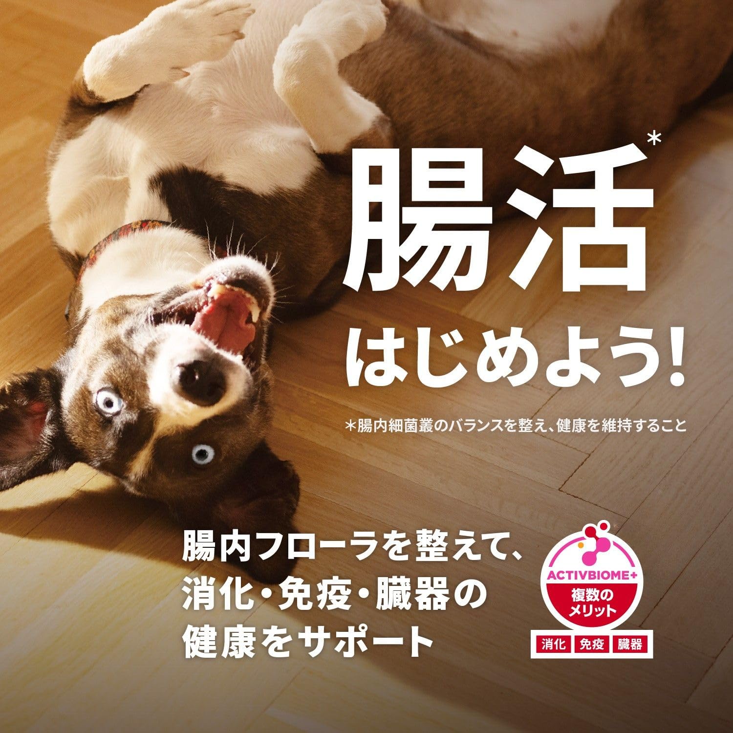 Hill's サイエンスダイエット アダルト チキン3.3kg 3袋セット サイエンスダイエット 成犬 小型犬用 1〜6歳まで チキン 3kg