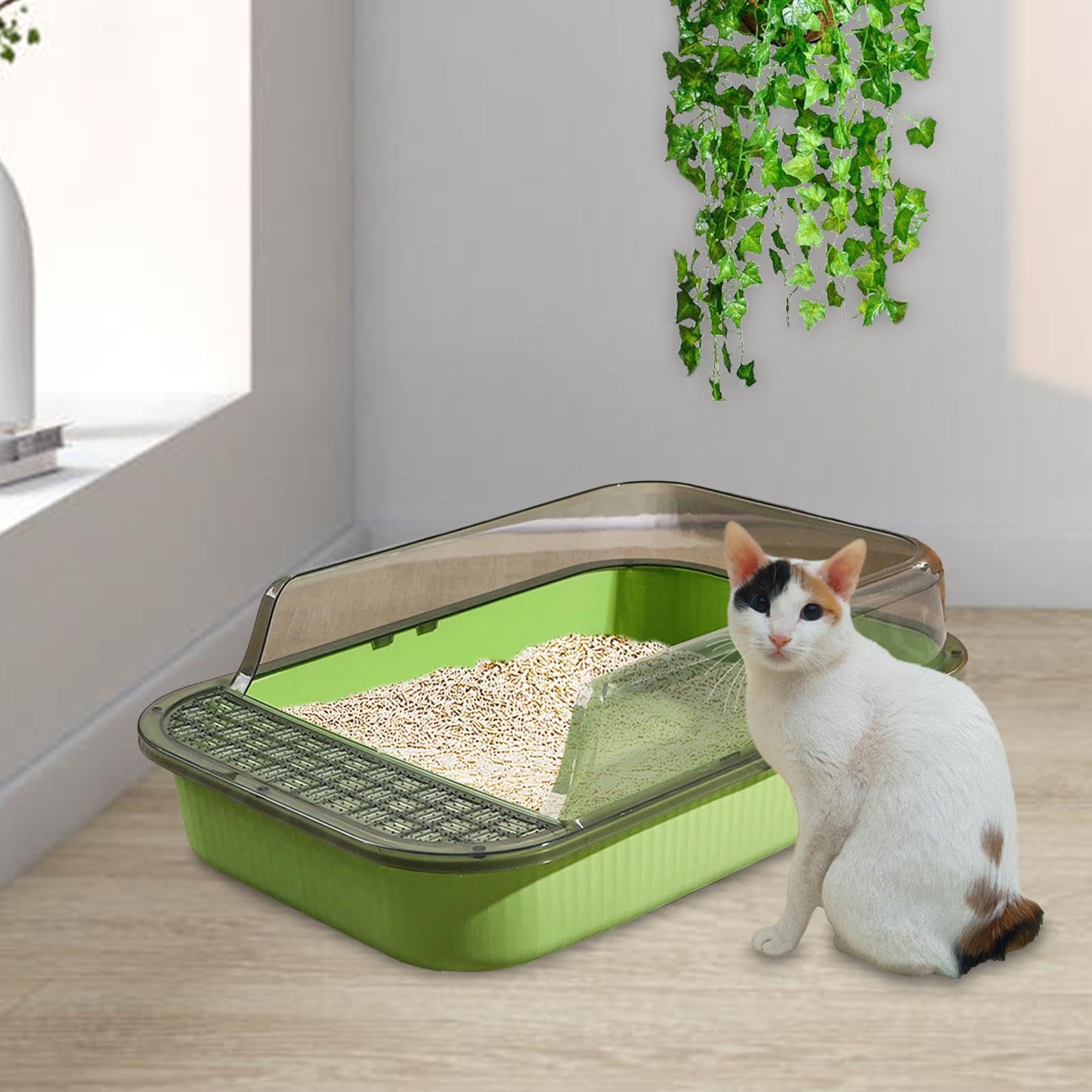 Lettaia, Toilette for Gatti e Gattini Cassetta for la Sabbia for