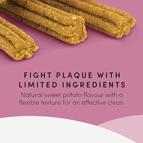 Miniatura 3 de Crumps' Naturals Original Plaque Busters, paquete de 10 unidades de 7 pulgadas (embalaje del producto puede variar)