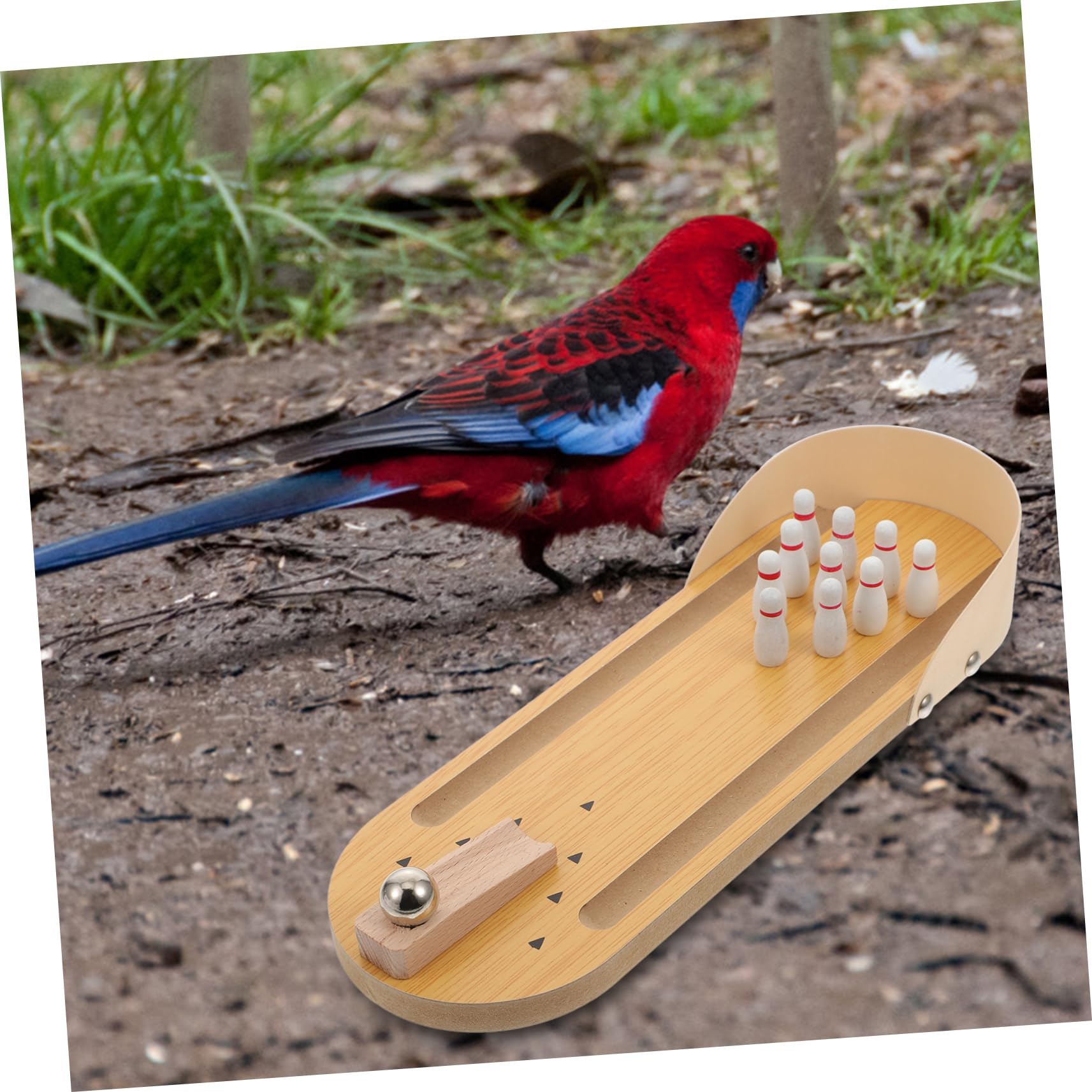 WOONEKY Parrot Bowling aus Naturholz Langlebiges Trainingsspiel für Papageien Interaktives Vogelspielzeug zur Geistigen Verschleißfestes für Wellensittiche und Papageien