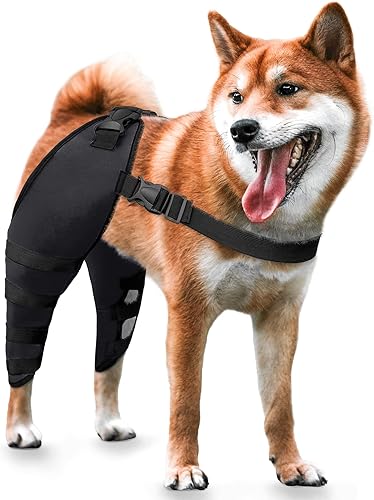 Rodilleras para perro, ACL, CCL, soporte adicional para artritis del dolor, patas traseras con estabilizadores laterales de metal, azul, mediano