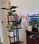 Review Image by 07734