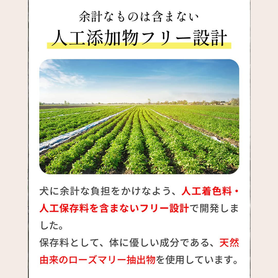 Amazon.co.jp: フェイヴワン FAVEONE ドッグフード 全犬種用 チキン