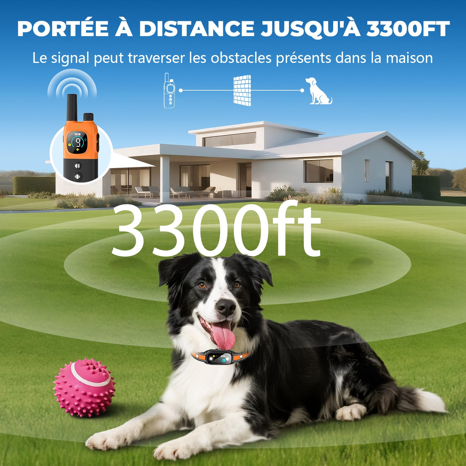Collier Electrique pour Chien, Collier Dressage Chien avec Télécommande, Portée 1000m, 4 Modes de Dressage (Bip, Vibration, Choc, Lumière), Étanche IP67, Adapté Aux Chiens de Petits et Grands
