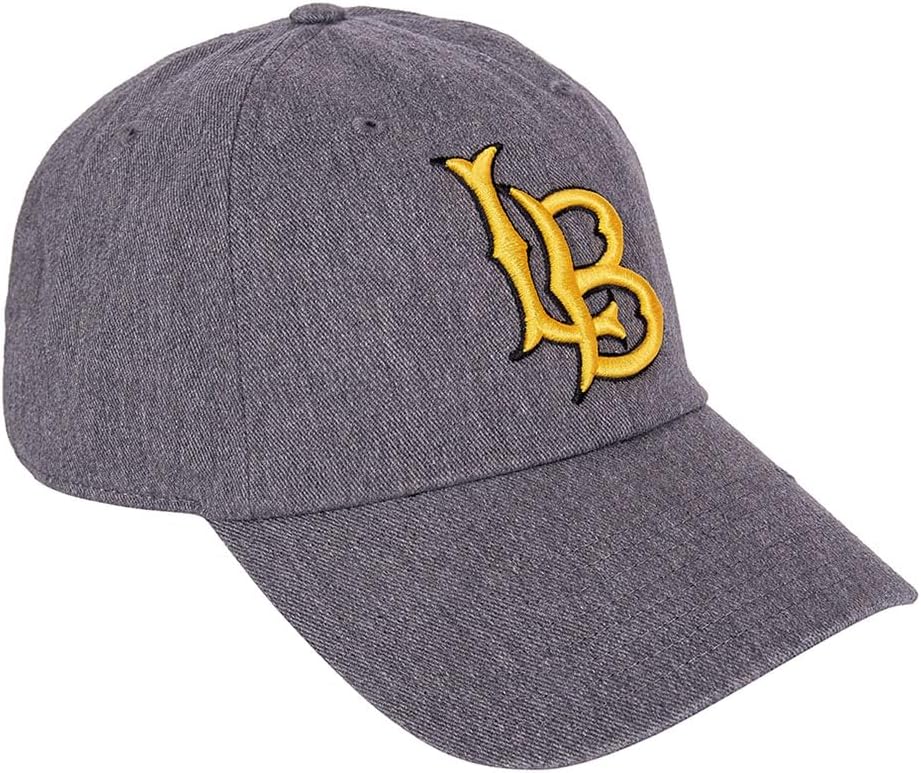 Desert Cactus Cal State University Long Beach Baseball Hat California Dirtbags Brimmed Embroidered Cap Adjustable Cloth Strap