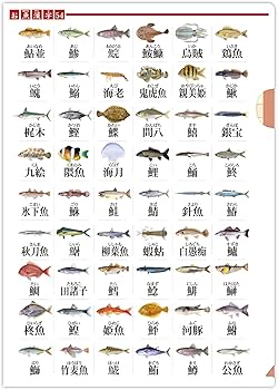 Amazon.co.jp: 【クリアファイル 3種 セット】ザ・アクセス 昆虫 図鑑