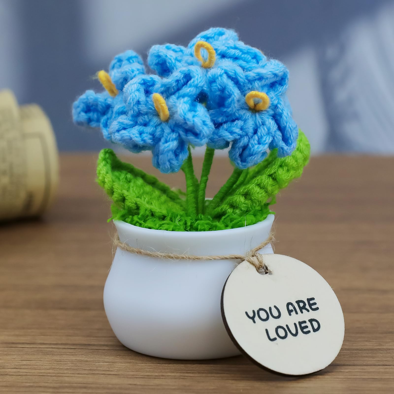 MSEHKM Encouragement Crochet Flowers with Positive Wooden Affirmations Handmade Artifical Flower Decor Ideal for Birthday/Christmas/Thank You Present