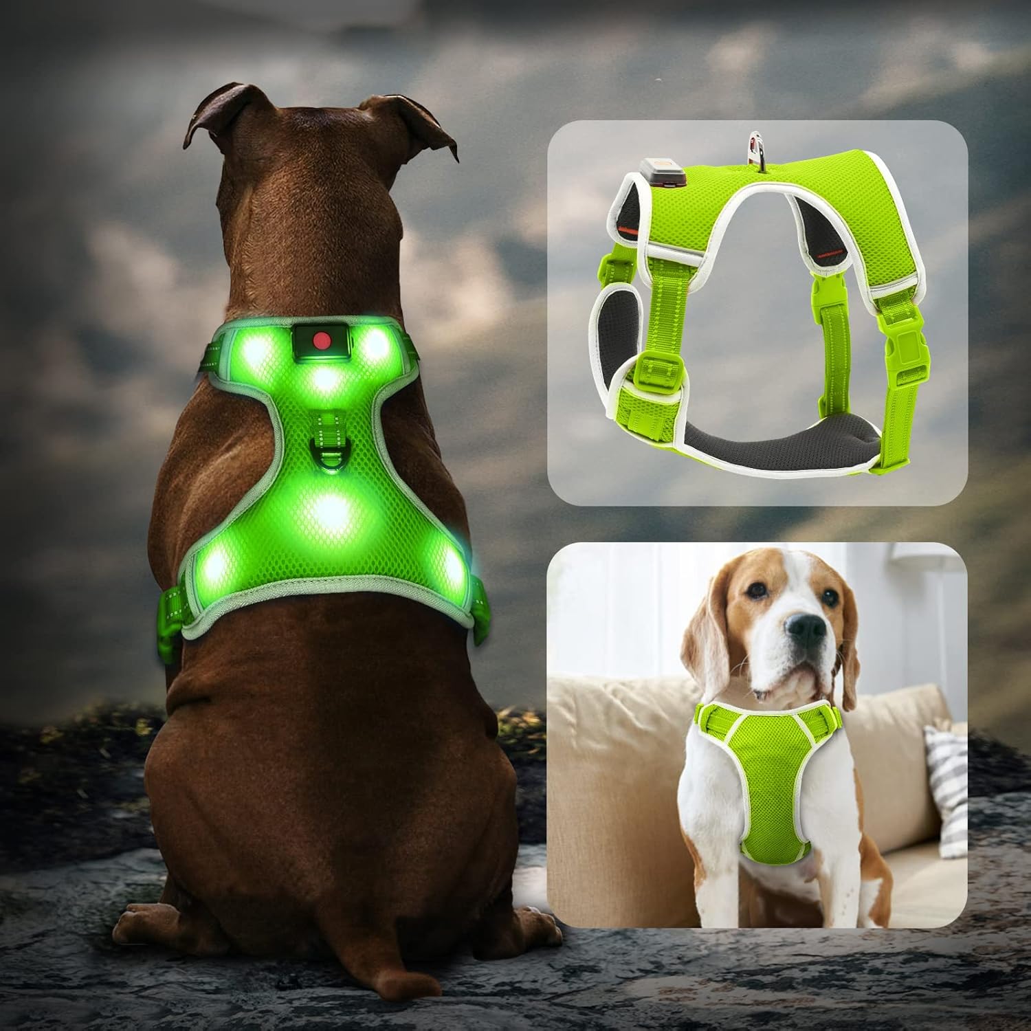 dog lights for harness