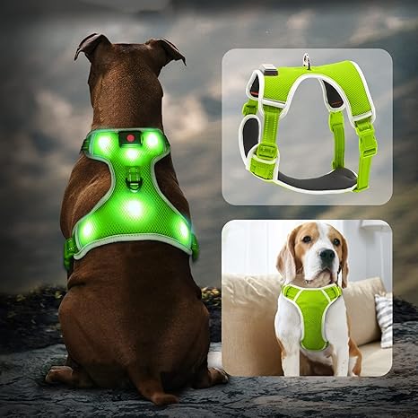 glowing dog harness