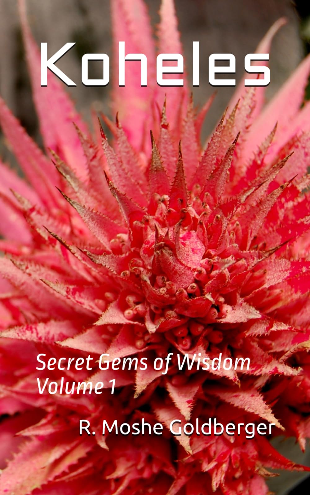 Koheles: Secret Gems of Wisdom Volume 1 (The Megilos)