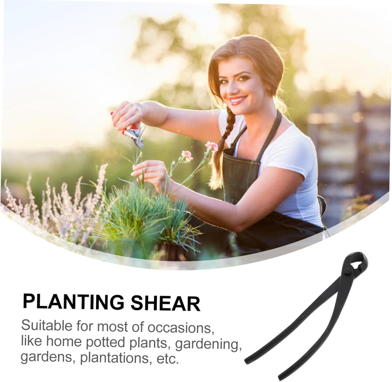 Premium Japanese Concave Shear Lightweight Pruning Tool for Bonsai and Shrubs Spherical Knob Cutter with Comfortable Grip for Efficient Gardening Tasks
