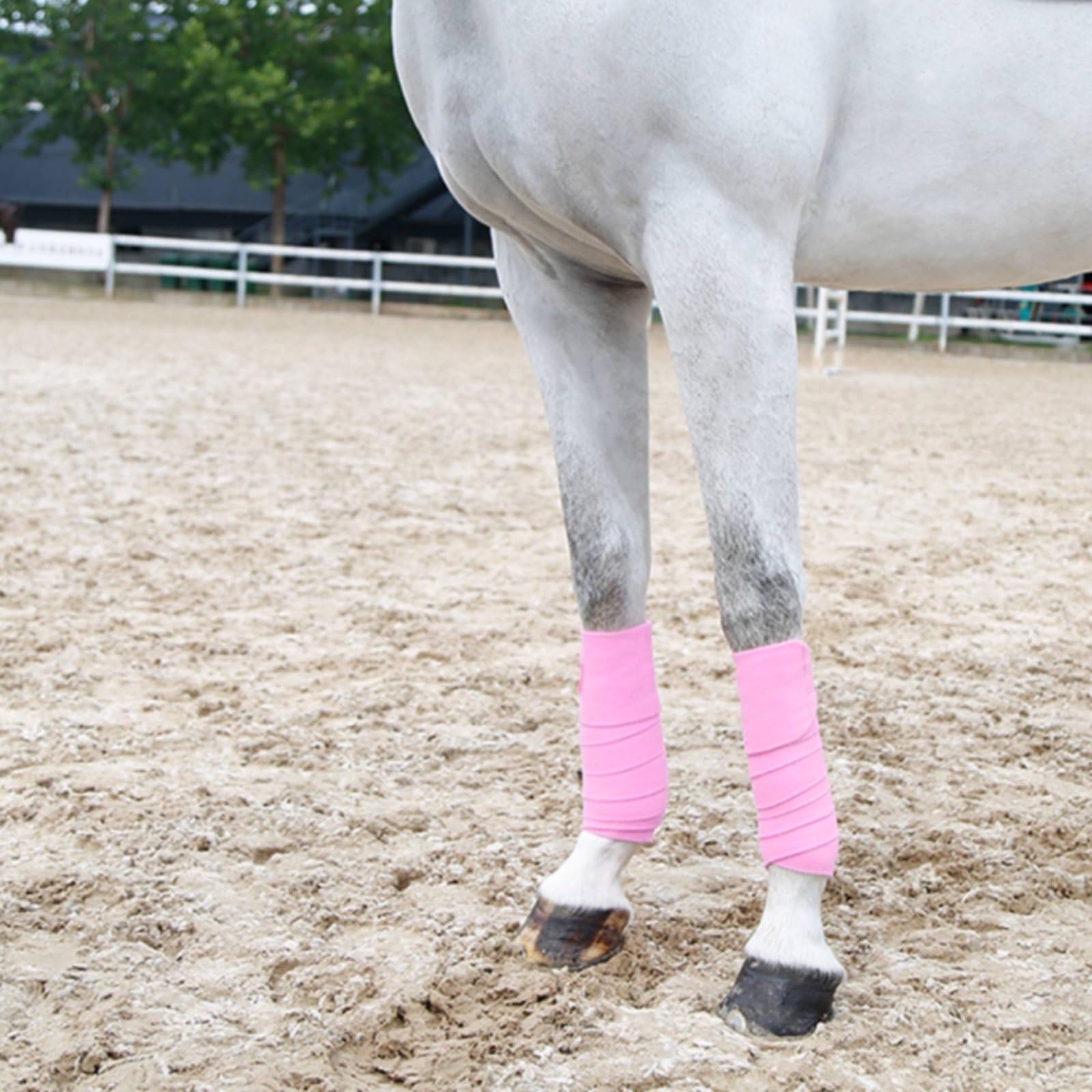 Baoblaze Protezioni per Zampe Cavallo Fasce da Equitazione Bendaggi Avvolgenti Supporto con Fissaggio in in Pile Morbido Lunghezza 2.75 M Adatte per Addestramento Gara Escursioni , Azzurro