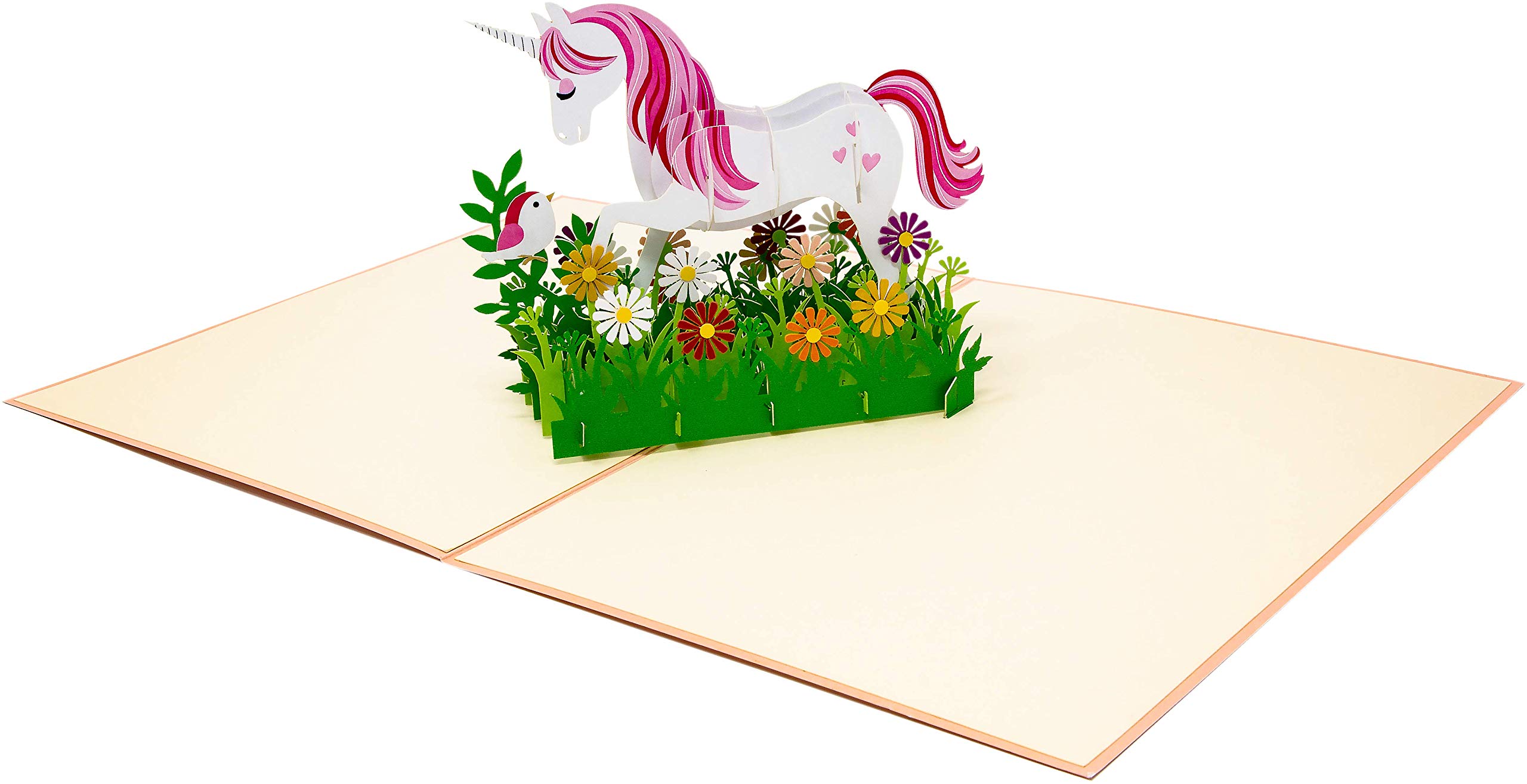 FONBAY Carte D'anniversaire Pop-up 3D Pour Enfants, Maman, Fille, Sœur