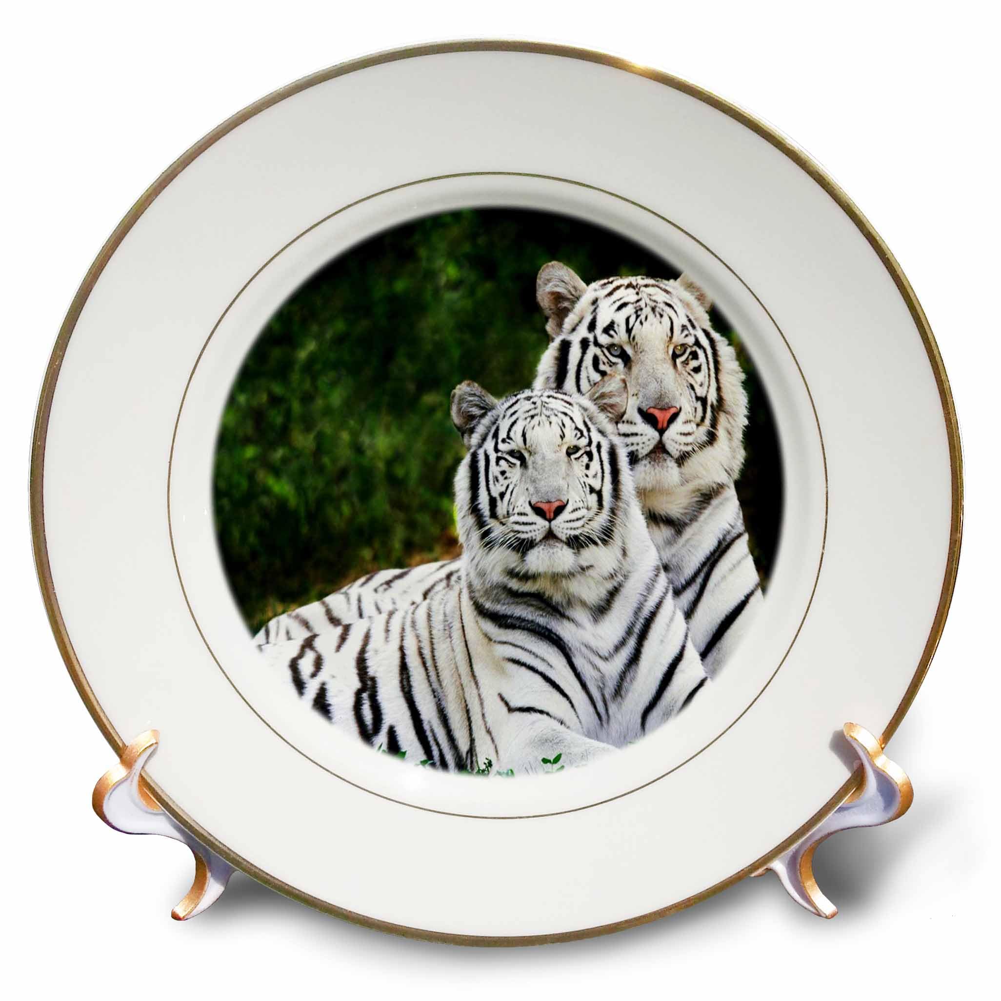 3dRose cp_54187_1 White Tigers Porcelain Plate, 8-Inch