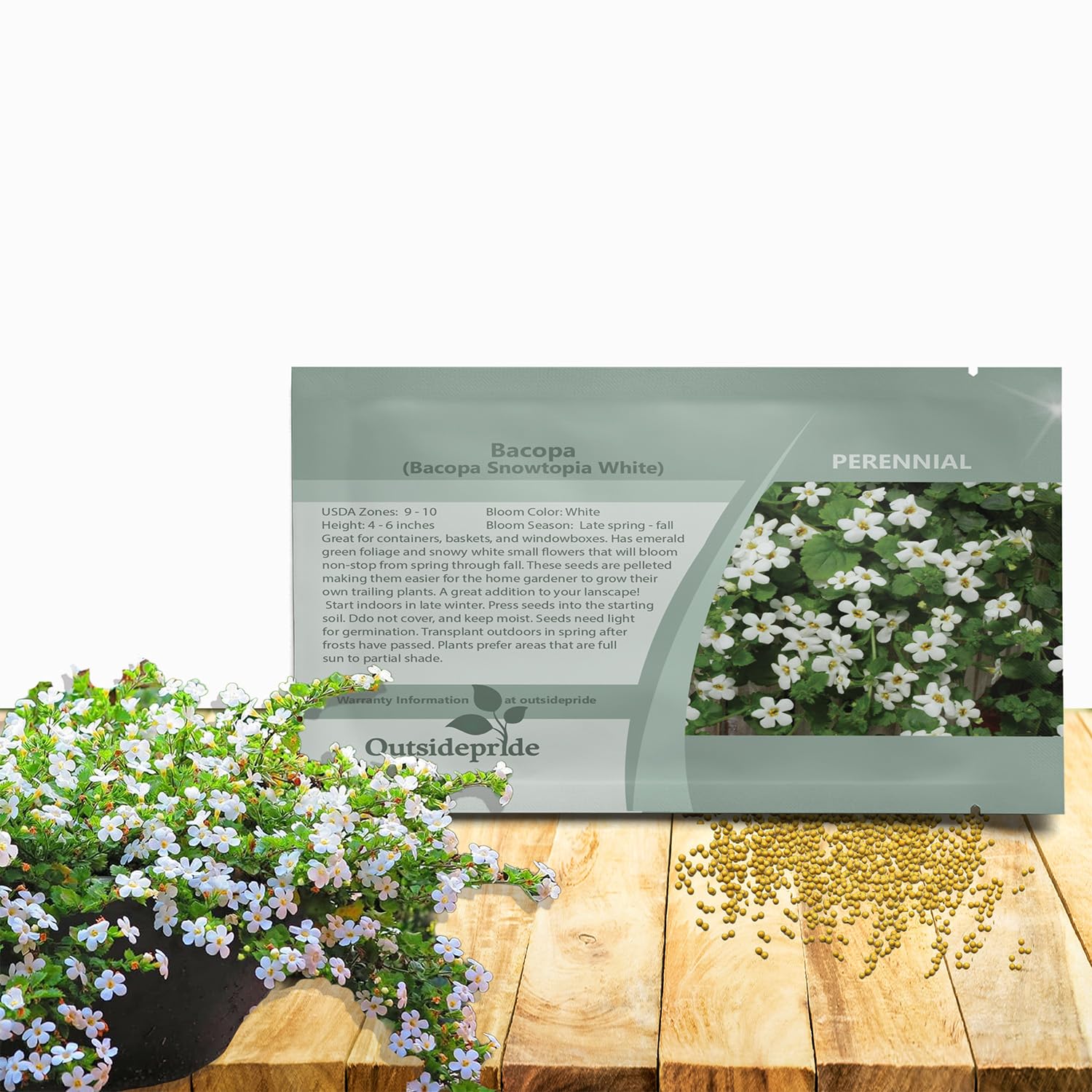 Amazon.com : Outsidepride White Blutopia Bacopa Seeds - 20 Pcs Low  Maintenance Perennial Flower Seeds with Cascading, Vibrant Blooms &  Trailing Growth Habit, for Containers, Baskets, & Window Boxes : Bacopa  Plants :