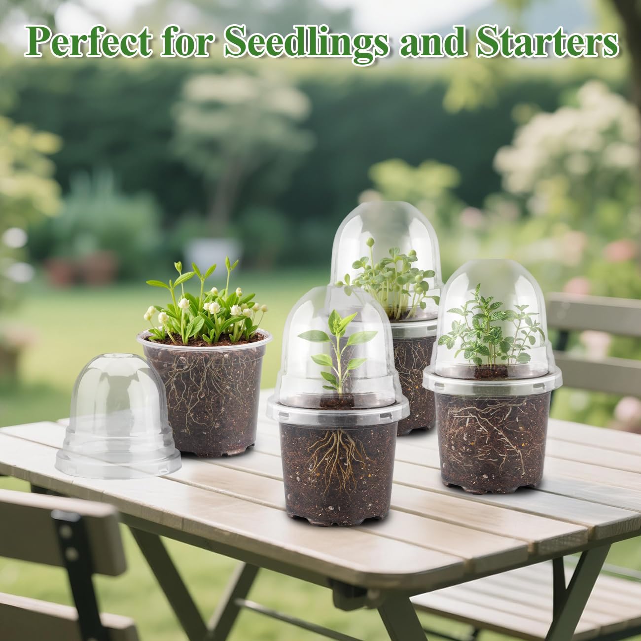 60 Pack Clear Nursery Pots with Humidity Domes, 4 Inch Plastic Plant Pots with Drainage Holes for Seedlings, Transparent Seed Starting Pot for Cuttings Propagation Indoor Gardening