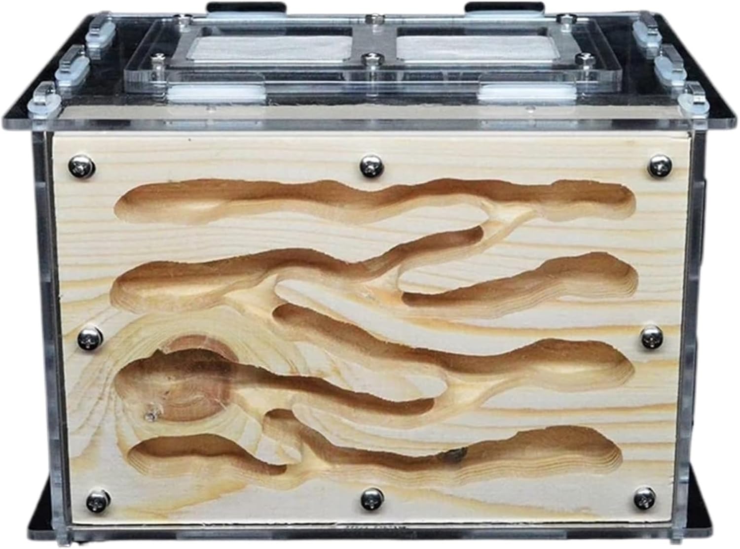 昆虫ヴィラ アリ城アクリル木材透明アリの巣ファーム生態ベルト給餌エリアワークショップアリテラリウム子供のギフト アリ飼育キット