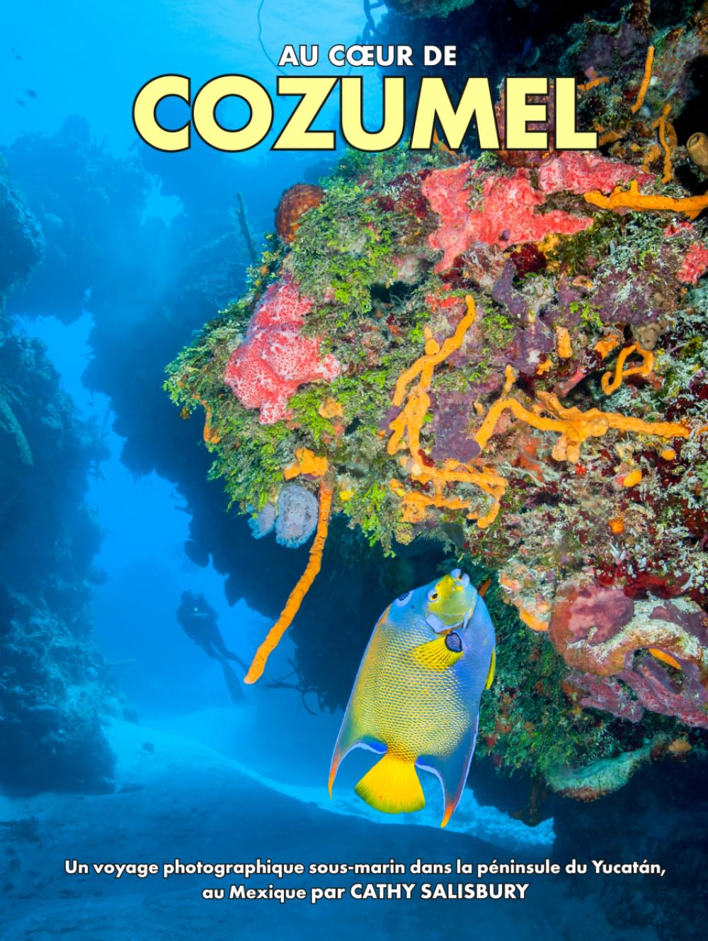 Au cœur de COZUMEL: Un voyage photographique sous-marin dans la péninsule du Yucatán, au Mexique