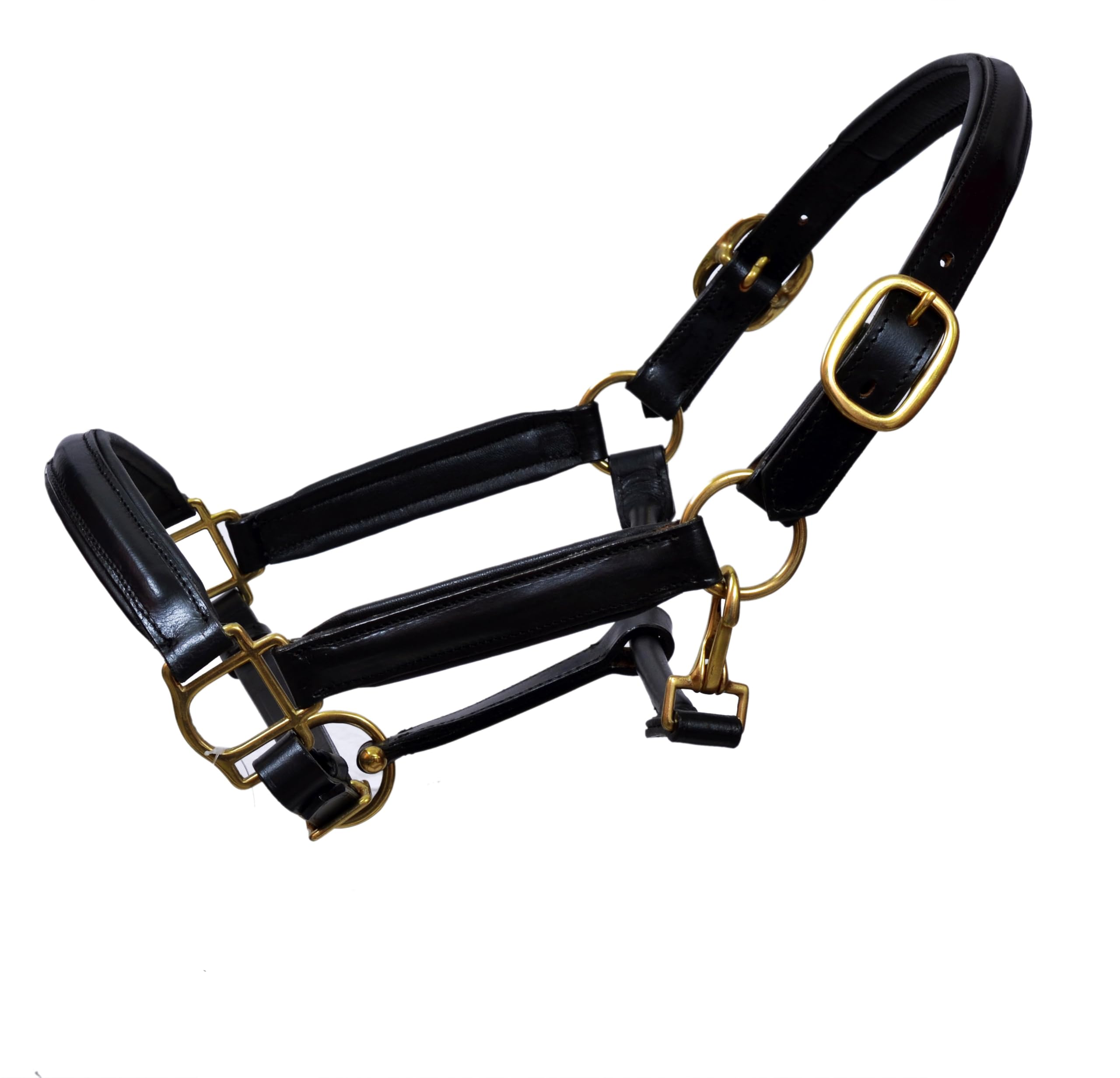 Black Leather Horse Headcollar Halter Raised Padded with Brass Plated Nickel Fittings for Comfort (Extra-Full)