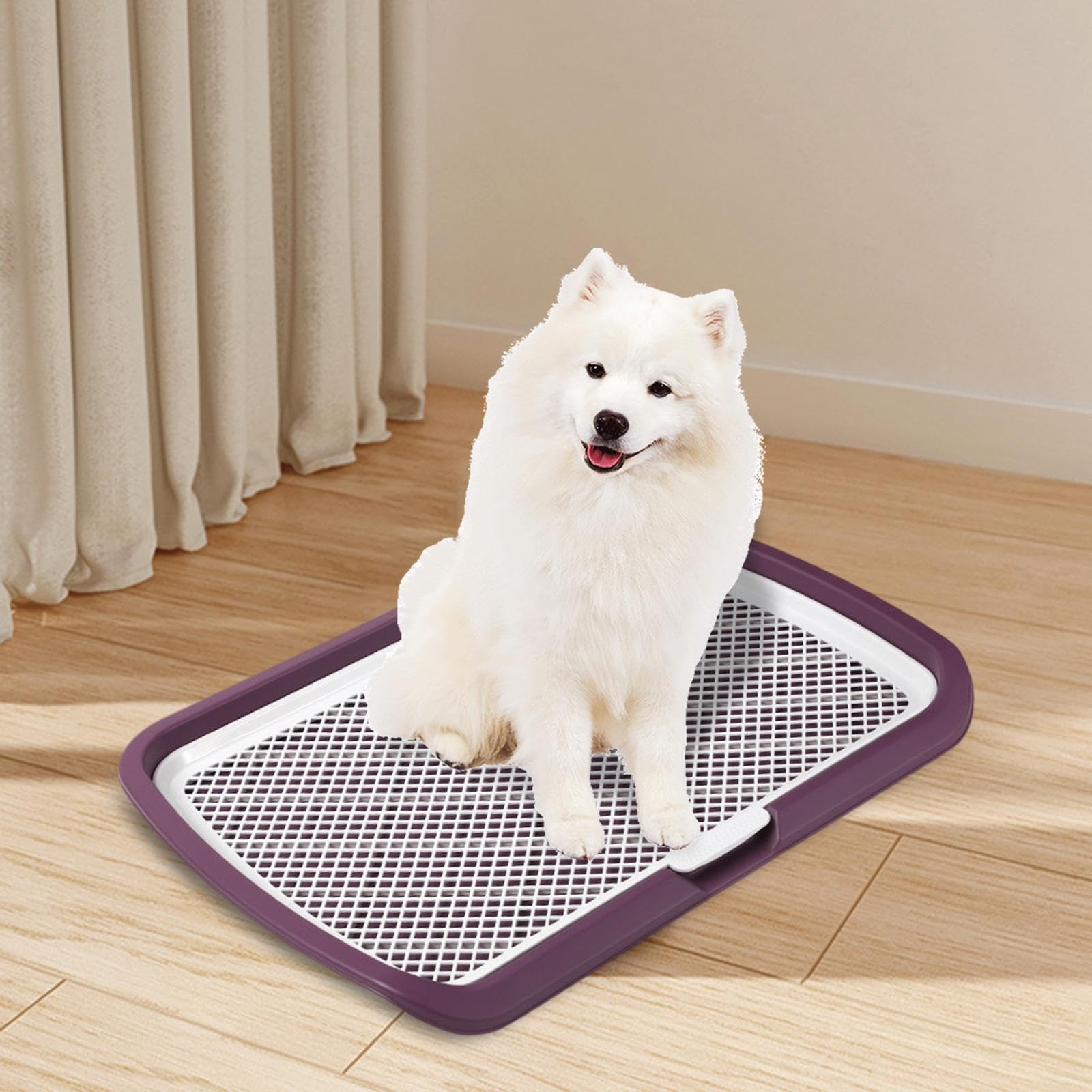 Toilette per Animali Vassoio Cane per Casa Supporto Pad Igienico Rimovibile PP Pulizia Semplice Adatto Piccoli Medi Grandi Utilizzo in Recinti, Viola