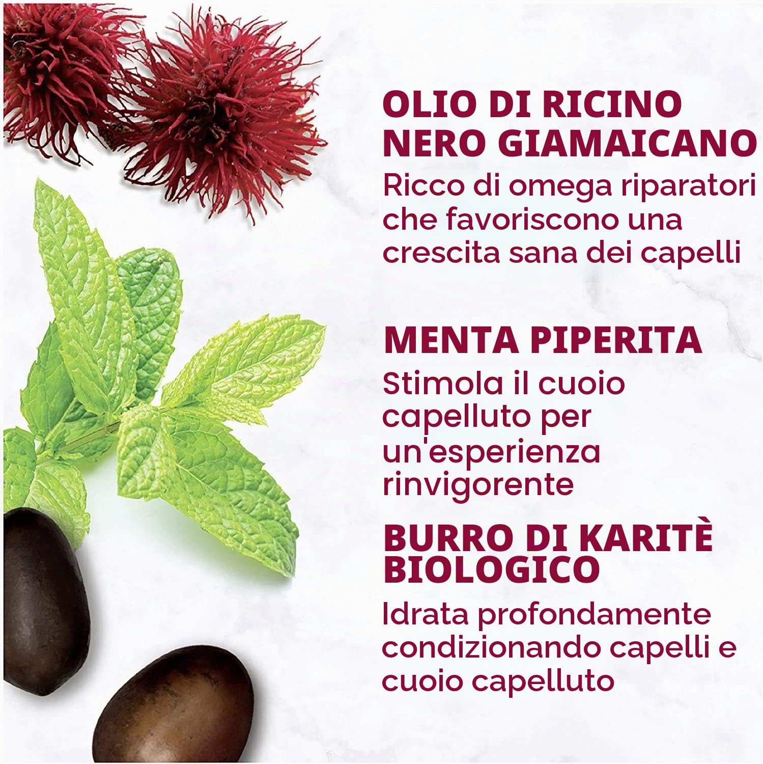 Shea Moisture Set shampoo e balsamo all’olio di ricino nero giamaicano