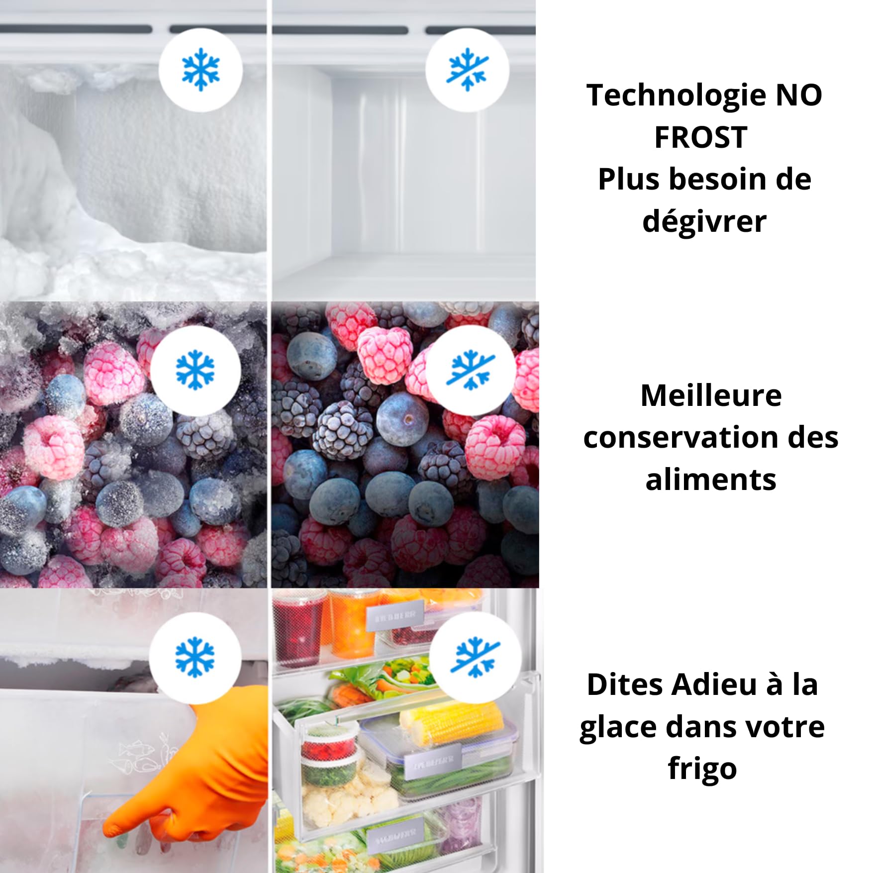 GEDTECH Réfrigérateur combiné GCB409NFIX congélateur bas 409L (267L + 142L) - No Frost (Pas de Givre) - Inox