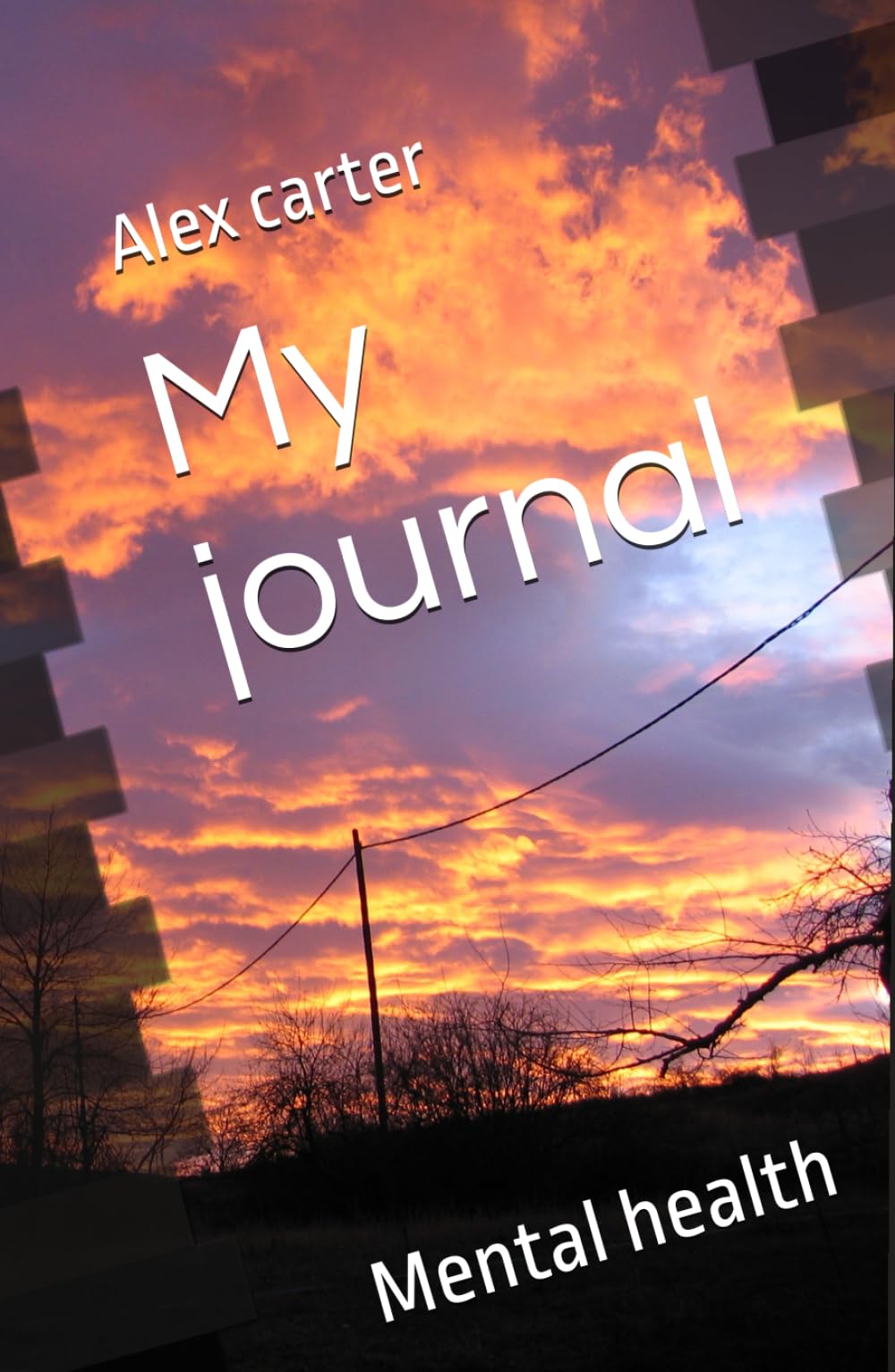My journal: Mental health