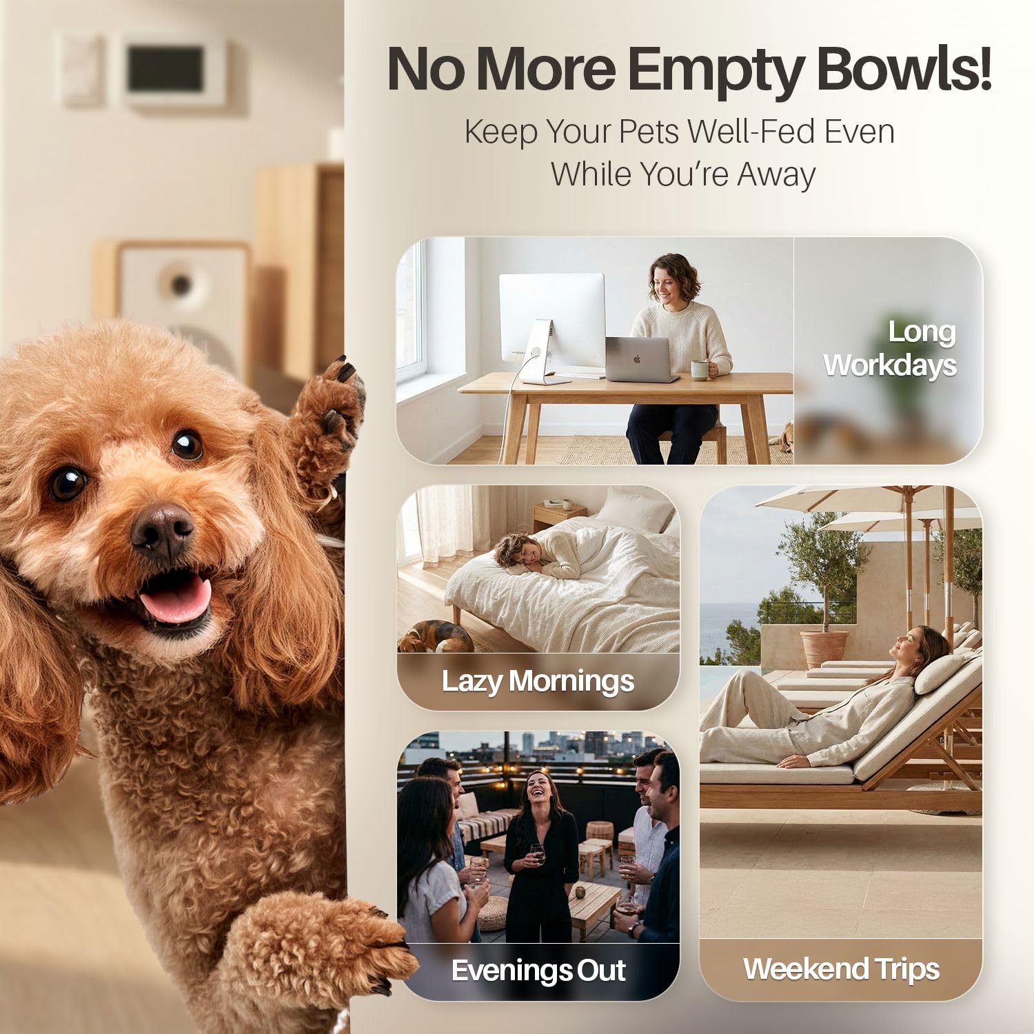 Flexzion Gravity - Dispensador de Alimentos para Mascotas (tamaño de 6 a 12 Libras) para Perros, Gatos, reposición automática, contenedor de Almacenamiento de Alimentos Secos, Cuenco para Perros y