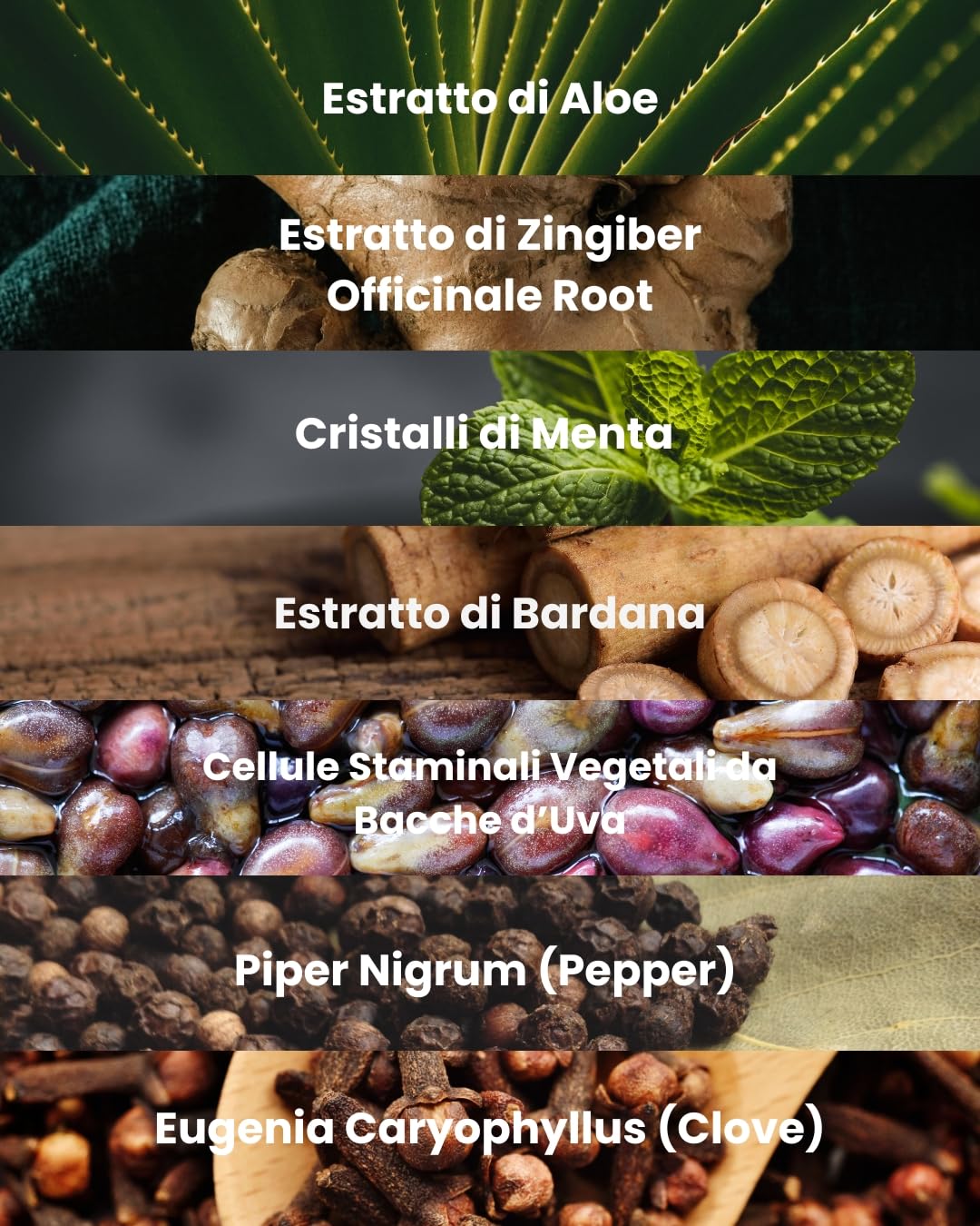 VINCENT.H Trattamento Cuoio Capelluto Tonico – Soluzione Rinfrescante