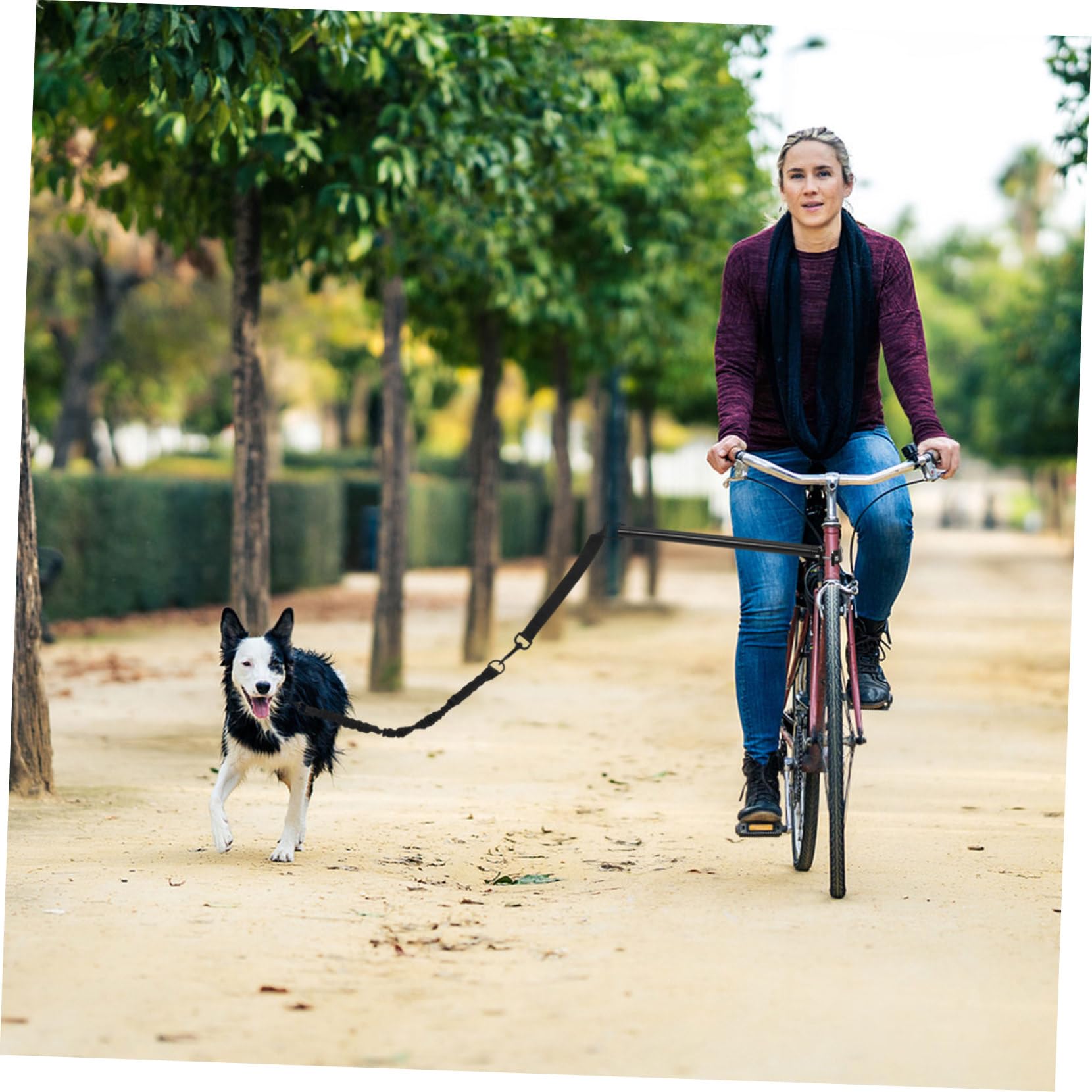 VICASKY Guinzaglio Oxford e Lega Resistente All’usura per Cani da Bicicletta Espandibile per Cani Piccoli e Medi, per Trekking e Viaggi