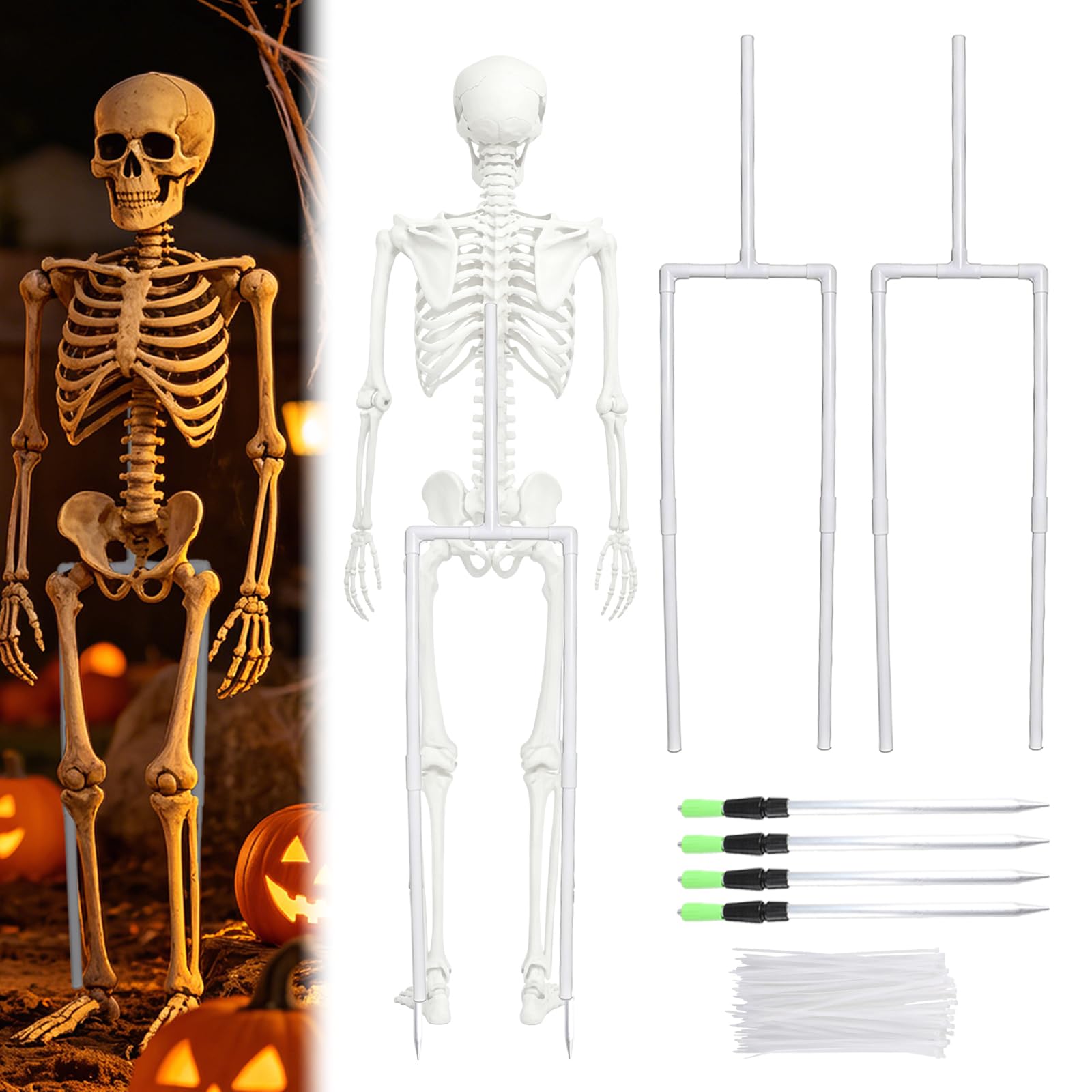 Photo 1 of Nalanzhou Skeleton Stand for 6FT Skeletons