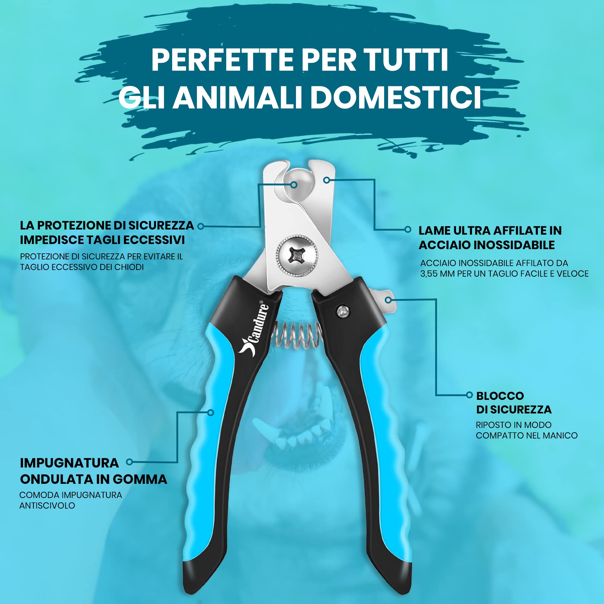 CANDURE Tagliaunghie Cane e Gatto con Guardia per Protezione Cani - Acciaio Inossidabile Tagliaunghie Gatto Professionale per Veterinaria e Uso Personale (Blu, Grande a Medio)