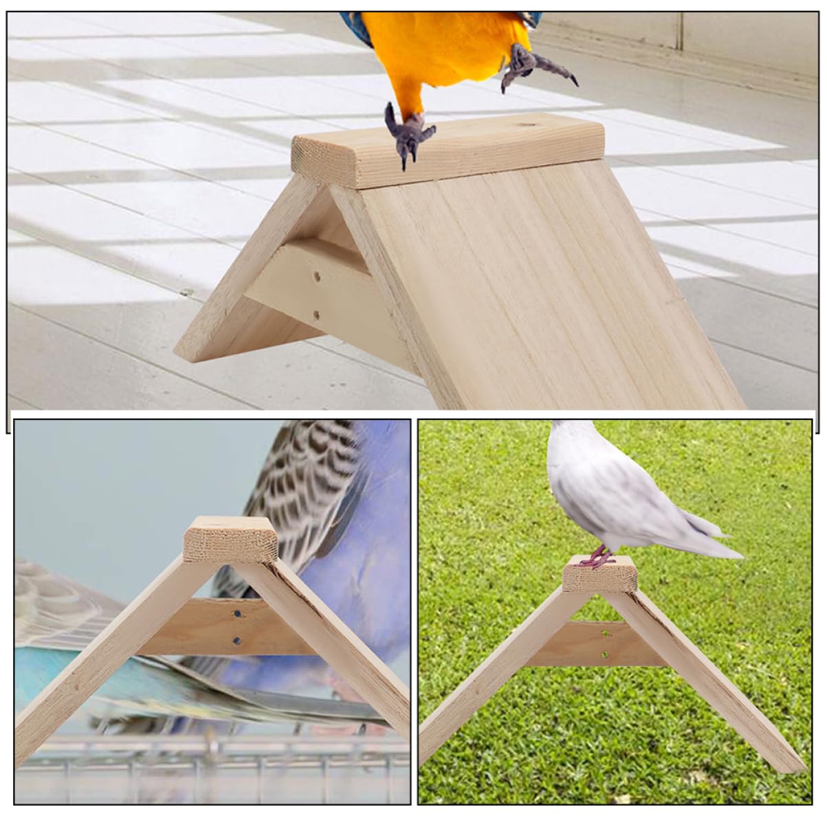 5 Stück Sitzstangen für Vögel und Nymphensittiche