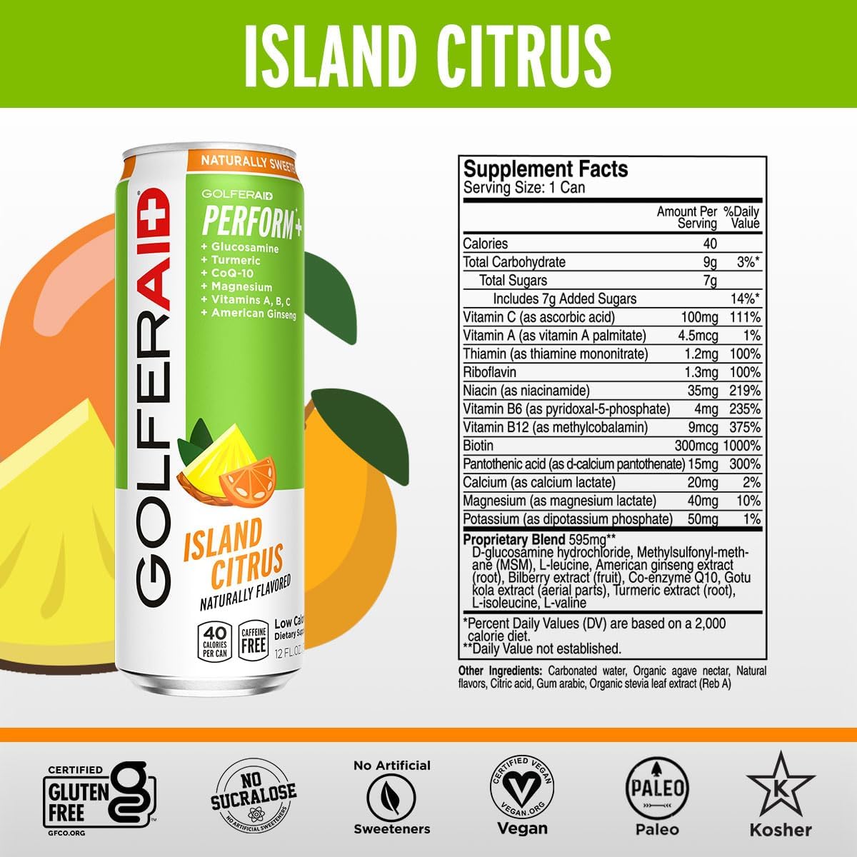 GOLFERAID Performance Blend, Up Your Golf Game, No Caffeine, Glucosamine, Turmeric, MSM, CoQ10, B-Complex, BCAAs and Electrolytes, 40 Calories, 100% Clean, Paleo, Vegan, 12-oz. cans (Pack of 24)