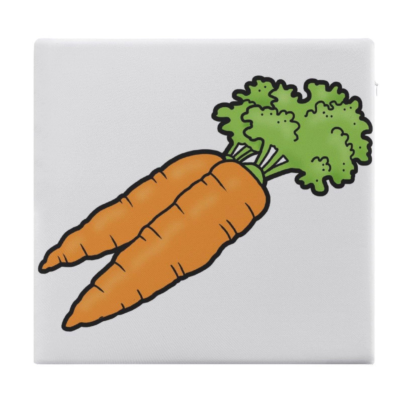 JZemdybill Chair Pad, Carrot Seat Pad, Square Chair Cushion for Yoga Living Room Balcony