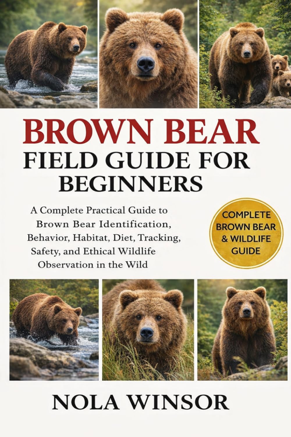 BROWN BEAR FIELD GUIDE FOR BEGINNERS: A Complete Practical Guide to Brown Bear Identification, Behavior, Habitat, Diet, Tracking, Safety, and Ethical Wildlife Observation in the Wild